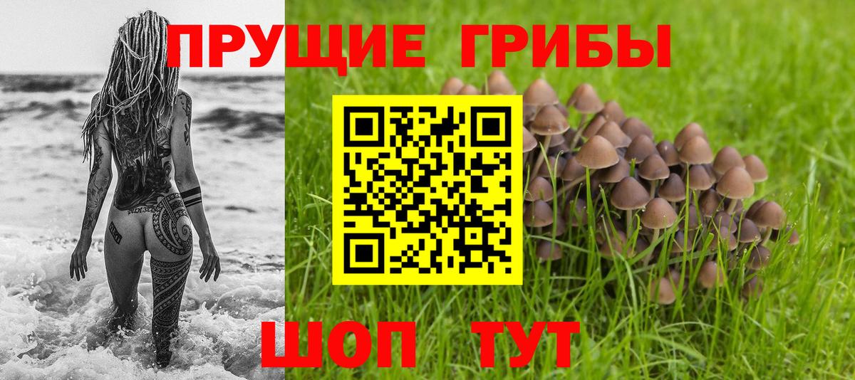 Псилоцибиновые грибы MAGIC MUSHROOMS  Вход с VPN  Челябинск  Галлюциногенные грибы Magic Shrooms 